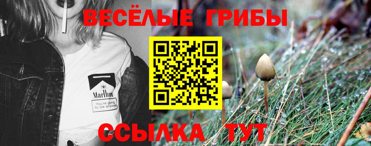 Галлюциногенные грибы Magic Shrooms Брянск