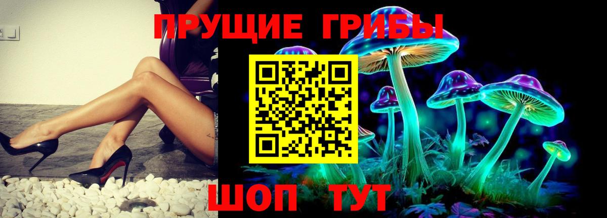купить  цена  Псилоцибиновые грибы мухоморы  Вход с VPN  Брянск 